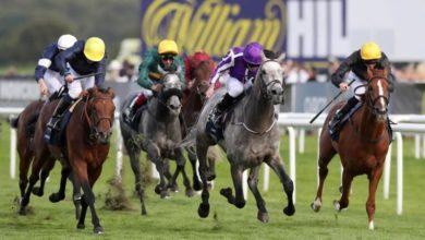 Arena Racing Company назначает Фрейзера Гаррити на руководящую должность (от BetHub) 61ba58a4a5b8b.jpeg