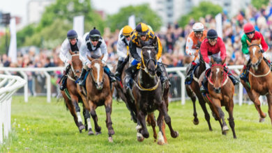 BetMakers подписывает партнерское соглашение о скачках с казино Century Casino {bethub} 621910aa43a76.jpeg