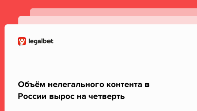 Объём нелегального контента в России вырос на четверть {legalbet} 6205178d0ef5b.png