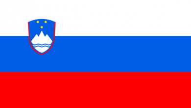 В Словении собираются либерализовать игровой рынок {sbc(cis)} 620d09b153d23.png