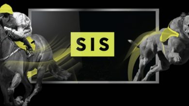 SIS расширяет коммерческую команду, чтобы ускорить планы международного роста {bethub} 6246d94e7bc33.jpeg