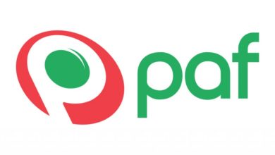Wizard Games выходит на рынок с Paf {bethub} 6254249f77071.jpeg