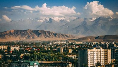 Десять лицензий на казино предложили продать на аукционе в Кыргызстане {игорка.ru} 627e38485c95b.jpeg