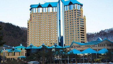 Казино Kangwon Land сократило убытки в первом квартале 2022 года {игорка.ru} 627d1ee1a8c47.jpeg