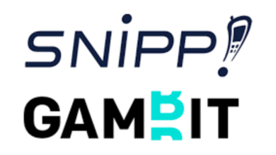 Gambit заключает партнерство со Scuti {bethub} 62d547d891793.png