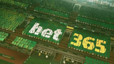 Nolimit City, принадлежащая Evolution, подписывает контракт с bet365 на казино {bethub} 62e141d689fd6.png