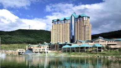 Доход казино Kangwon Land может превысить 1 млрд долларов в 2022 году {игорка.ru} 630900e667821.jpeg