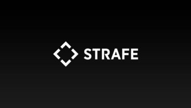 Филиал киберспорта Strafe выходит на рынок Нидерландов {bethub} 632f5ecc7d7a8.jpeg