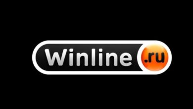БК Winline полностью обновил раздел «киберспорт» {bukmekerov.net} 63568eea81a08.jpeg