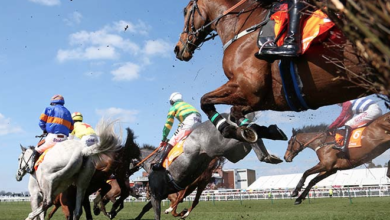 Racecourse Media Group назначает Конора Гранта председателем правления {bethub} 63c99e1397a0c.png