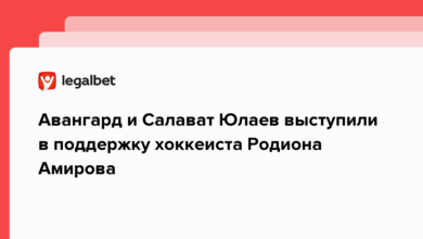 Авангард и Салават Юлаев выступили в поддержку хоккеиста Родиона Амирова {legalbet} 63ed7f3f4a504.png
