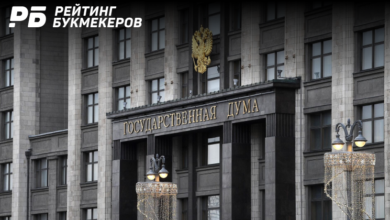 Госдума приняла в первом чтении законопроект о запрете «быстрых игр» {рб} 63e4f2fe0f9dd.png