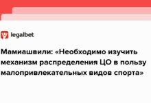 Мамиашвили: «Необходимо изучить механизм распределения ЦО в пользу малопривлекательных видов спорта»