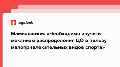 Мамиашвили: «Необходимо изучить механизм распределения ЦО в пользу малопривлекательных видов спорта» {legalbet} 63fdf9e66460e.png