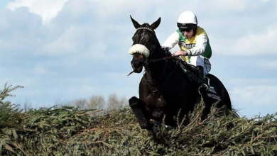 William Hill стала официальным партнером по ставкам Randox Grand National Festival {bethub} 63f4cb487963f.png