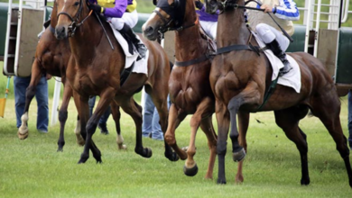 Novibet объявляет о партнерстве с Irish Guineas Festival {bethub} 64696c5043444.png