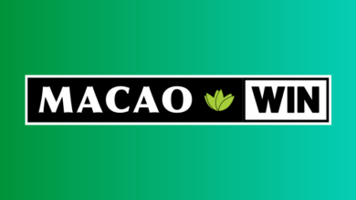 Macao Win заключает партнерство с Okto {bethub} 6492f343bacb3.png