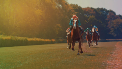 Racing Post собирается запустить новое шоу ставок с William Hill {bethub} 653ebc3265175.png