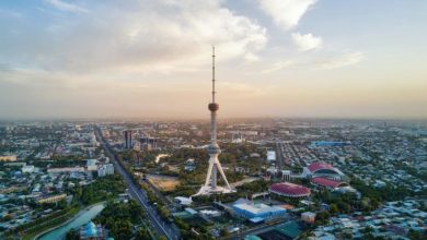 Агентство перспективных проектов будет контролировать букмекеров в Узбекистане {игорка.ru} 656cc4de630fa.jpeg