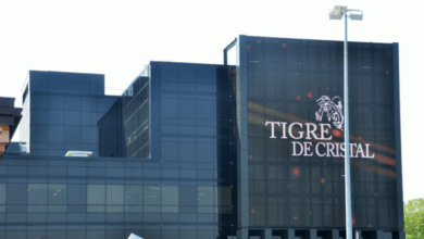 Российская компания выкупит казино Tigre De Cristal у инвестора из Гонконга {sportclan} 65a125d2bee7a.png