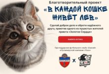 БК Леон и ФК «Енисей» запустили совместную благотворительную акцию «В каждой кошке живёт лев»