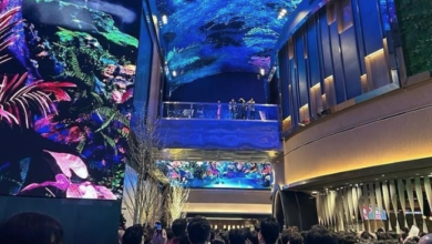 Steelman Partners празднует открытие Inspire Korea {bethub} 65f74df93a1f9.png