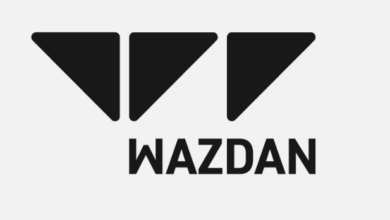 Wazdan расширяет присутствие на румынском рынке благодаря партнерству с Winmasters {bethub} 6664ca00cff88.png