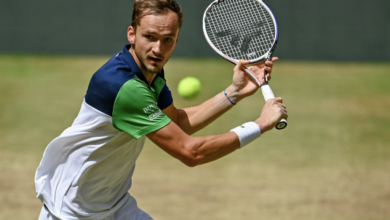 Atp запускает Safe Sport в партнерстве со Sportradar {bethub} 6696e24cc6664.png