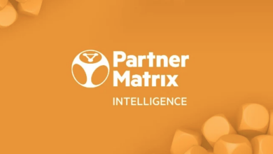 Deepci переименовывается в Partnermatrix Intelligence {bethub} 66846d64de396.png