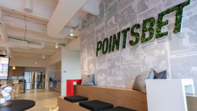 Чистый выигрыш Pointsbet Igaming увеличился на 63% по результатам 24 финансового года {bethub} 66aaa89167459.png