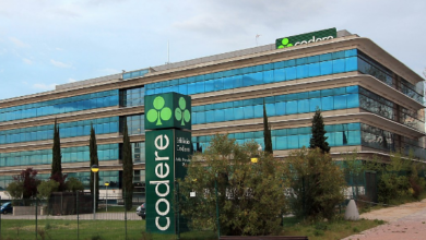 Codere Online сообщает о чистой прибыли и положительном Ebitda за второй квартал 2024 года {bethub} 66aaa8b226ce0.png