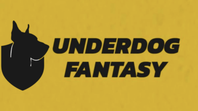 Underdog привлекает $ 70 млн в рамках серии c от spark capital {bethub} 67e54e06510d7.png