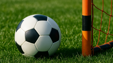 Футбол Кении ожидает возрождение: sportpesa готовит рекордное спонсорство на 2 миллиарда шиллингов {игорка.ru} 682f1cff90b1f.png