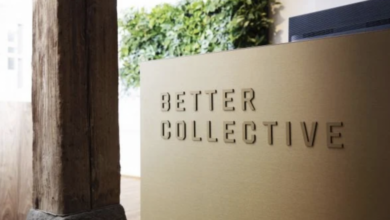 Согласно промежуточному отчету за второй квартал 2025 года, доход better collective остается стабильным {bethub} 68aa661be547b.png