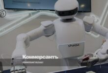 Новая фишка бюджета