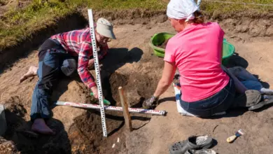 Археологи нашли в Беларуси кубик для азартных игр возрастом около 450 лет {sportclan} 6a8854a263fe5.webp