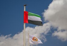 Болгарская компания получила лицензию на поставку игорного оборудования в ОАЭ