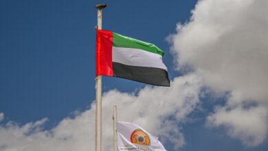 Болгарская компания получила лицензию на поставку игорного оборудования в ОАЭ {рб} 6a9fec4299d94.jpeg