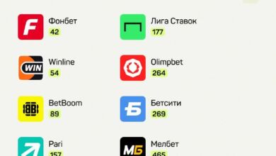 Восемь букмекеров вошли в список 500 крупнейших компаний России