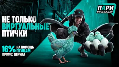 Курочки из Counter Strike помогут спасти настоящих птиц в рамках благотворительной акции фонда «Пари и побеждай» {sportclan} 6ad60ff8ab969.webp