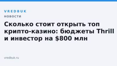 Сколько стоит открыть топ крипто-казино: бюджеты Thrill и инвестор на $800 млн